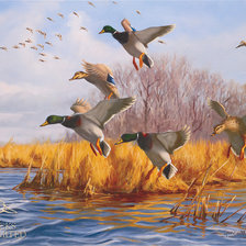 Cross stitch pattern: #505065