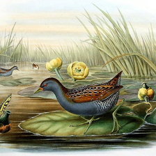 Cross stitch pattern: #505067