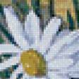 Preview of cross stitch pattern: #505145