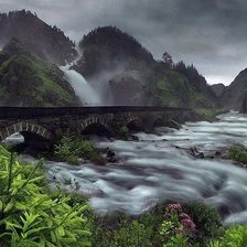 Cross stitch pattern: #505248