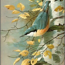 Cross stitch pattern: #505500