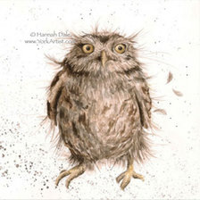 Cross stitch pattern: #505518