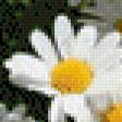Preview of cross stitch pattern: #506500