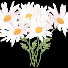 Cross stitch pattern: #506501