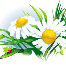 Cross stitch pattern: #506503