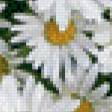 Preview of cross stitch pattern: #506508