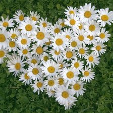 Cross stitch pattern: #506508