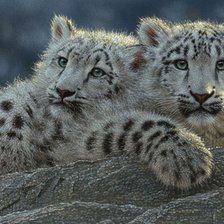 Cross stitch pattern: #506612