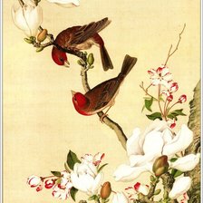 Cross stitch pattern: #506692