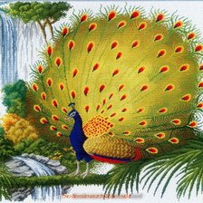 Cross stitch pattern: #506730