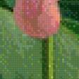 Preview of cross stitch pattern: #506897