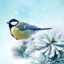 Cross stitch pattern: #507029