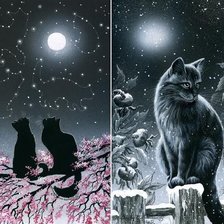 Cross stitch pattern: #507222