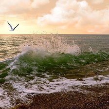 Cross stitch pattern: #507911