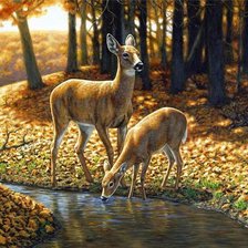 Cross stitch pattern: #507913