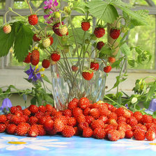 Cross stitch pattern: #508272