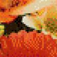 Preview of cross stitch pattern: #508560
