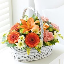 Cross stitch pattern: #508560