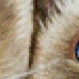 Preview of cross stitch pattern: #509095