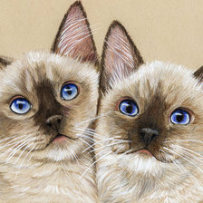 Cross stitch pattern: #509095