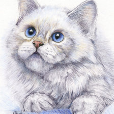 Cross stitch pattern: #509097