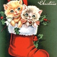 Cross stitch pattern: #509446