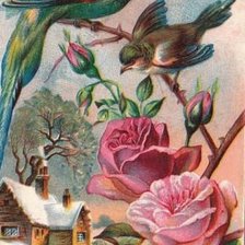 Cross stitch pattern: #509448