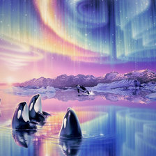 Cross stitch pattern: #510047