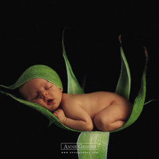 Cross stitch pattern: #510080