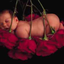 Cross stitch pattern: #510084