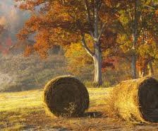 Cross stitch pattern: #510658