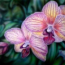Cross stitch pattern: #510678