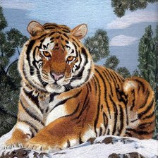 Cross stitch pattern: #510720