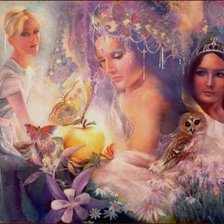 Cross stitch pattern: #511094