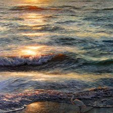 Cross stitch pattern: #511104