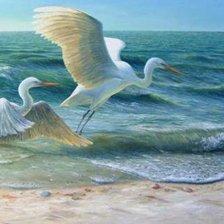 Cross stitch pattern: #511106