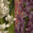 Preview of cross stitch pattern: #511143