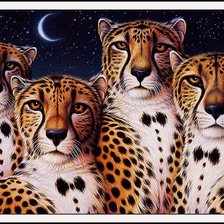Cross stitch pattern: #511171
