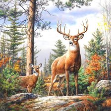 Cross stitch pattern: #511179