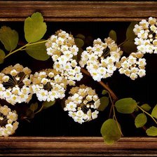 Cross stitch pattern: #511384