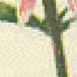 Preview of cross stitch pattern: #511408