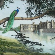 Cross stitch pattern: #511409