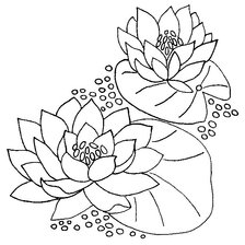 Cross stitch pattern: #511411