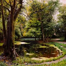 Cross stitch pattern: #511448