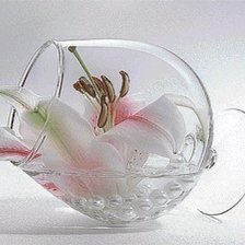 Cross stitch pattern: #512176