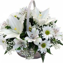 Cross stitch pattern: #512365