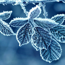 Cross stitch pattern: #512490