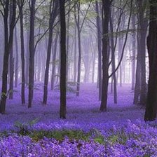 Cross stitch pattern: #512492