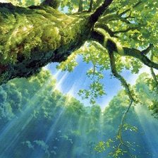 Cross stitch pattern: #512493