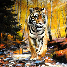 Cross stitch pattern: #512620